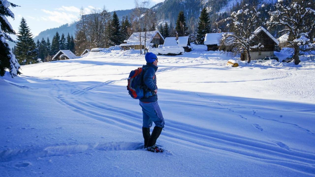 Chalet Hike&Bike Above Bohinj Valley ภายนอก รูปภาพ