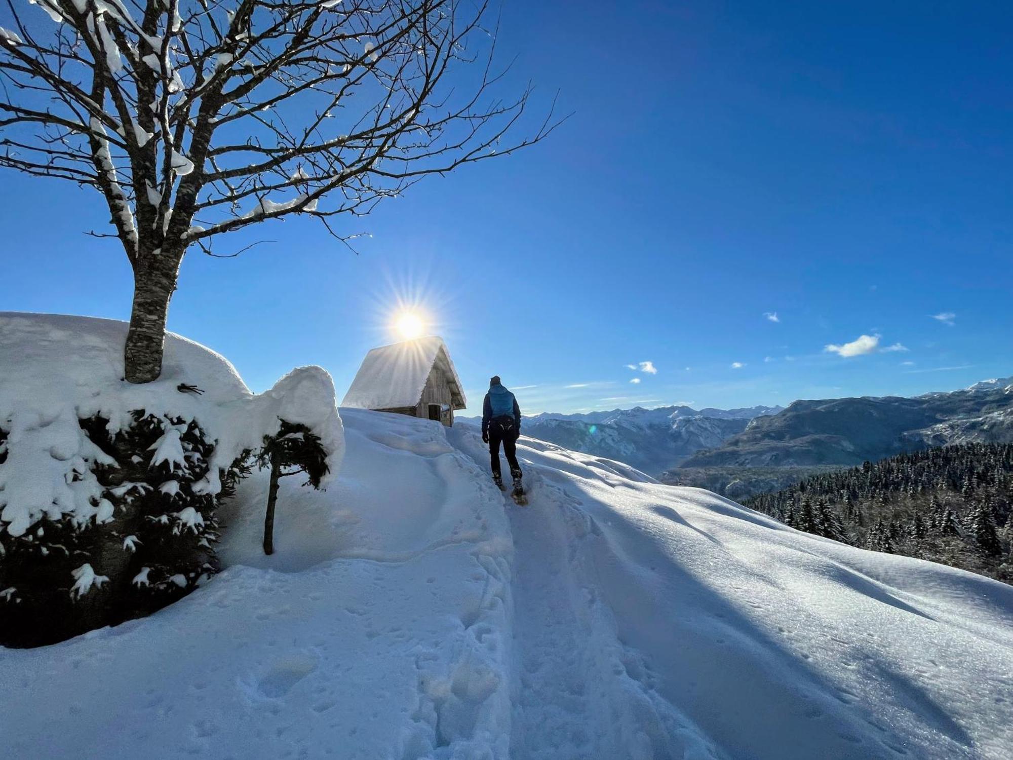 Chalet Hike&Bike Above Bohinj Valley ภายนอก รูปภาพ