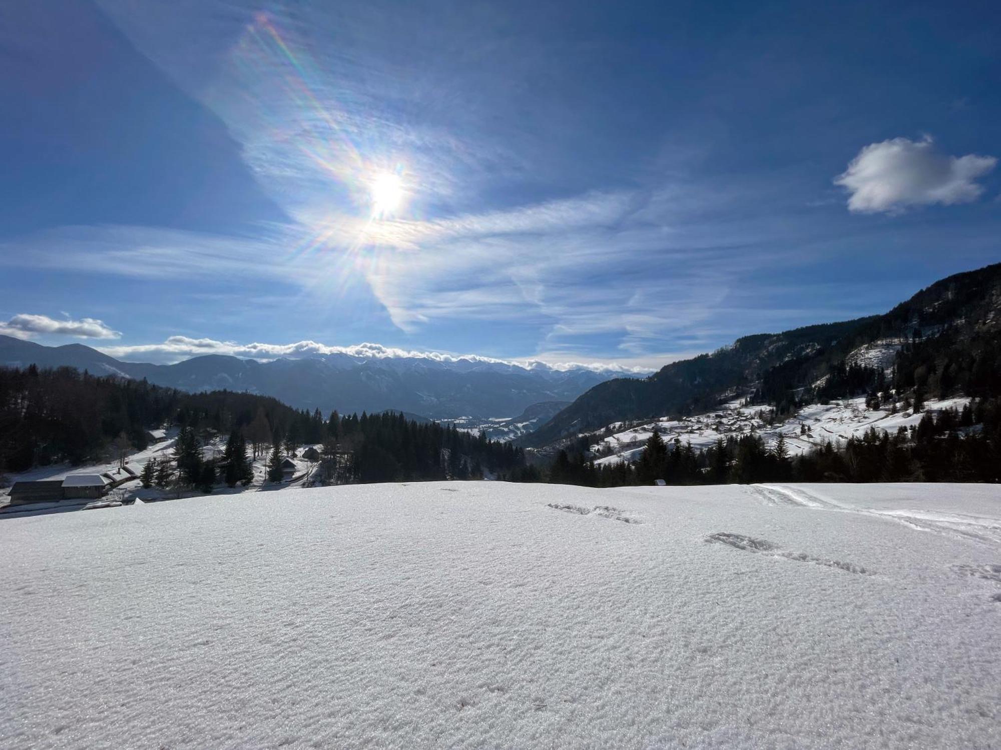 Chalet Hike&Bike Above Bohinj Valley ภายนอก รูปภาพ